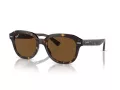 Ray-Ban Erik Lunettes de Soleil RB 4398 902/57