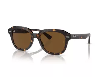 Ray-Ban Erik Lunettes de Soleil RB 4398 902/57