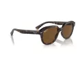Ray-Ban Erik Lunettes de Soleil RB 4398 902/57