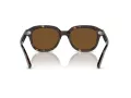 Ray-Ban Erik Lunettes de Soleil RB 4398 902/57