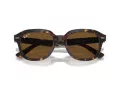Ray-Ban Erik Lunettes de Soleil RB 4398 902/57