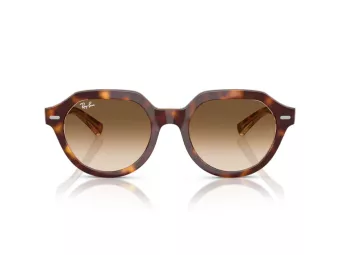 Ray-Ban Gina Lunettes de Soleil RB 4399 141451