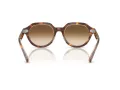 Ray-Ban Gina Lunettes de Soleil RB 4399 141451