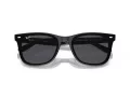 Ray-Ban Lunettes de Soleil RB 4420 601/87