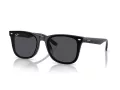 Ray-Ban Lunettes de Soleil RB 4420 601/87