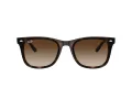 Ray-Ban Lunettes de Soleil RB 4420 710/13