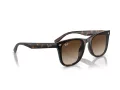 Ray-Ban Lunettes de Soleil RB 4420 710/13