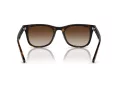 Ray-Ban Lunettes de Soleil RB 4420 710/13