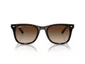 Ray-Ban Lunettes de Soleil RB 4420 710/13