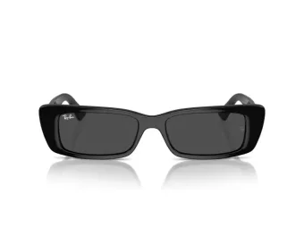 Ray-Ban Teru Lunettes de Soleil RB 4425 667787