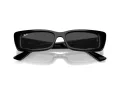 Ray-Ban Teru Lunettes de Soleil RB 4425 667787