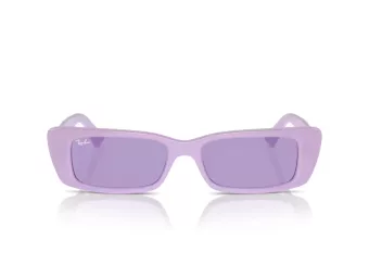Ray-Ban Teru Lunettes de Soleil RB 4425 67581A