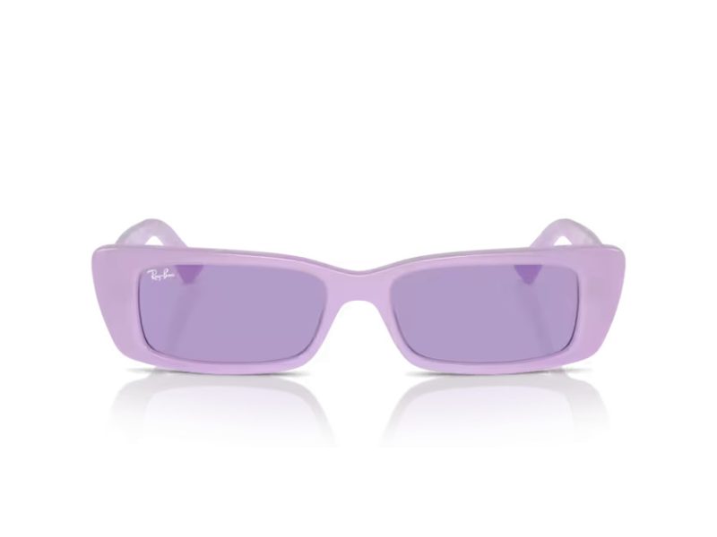 Ray-Ban Teru Lunettes de Soleil RB 4425 67581A