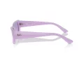 Ray-Ban Teru Lunettes de Soleil RB 4425 67581A
