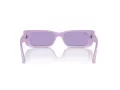 Ray-Ban Teru Lunettes de Soleil RB 4425 67581A