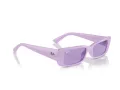 Ray-Ban Teru Lunettes de Soleil RB 4425 67581A