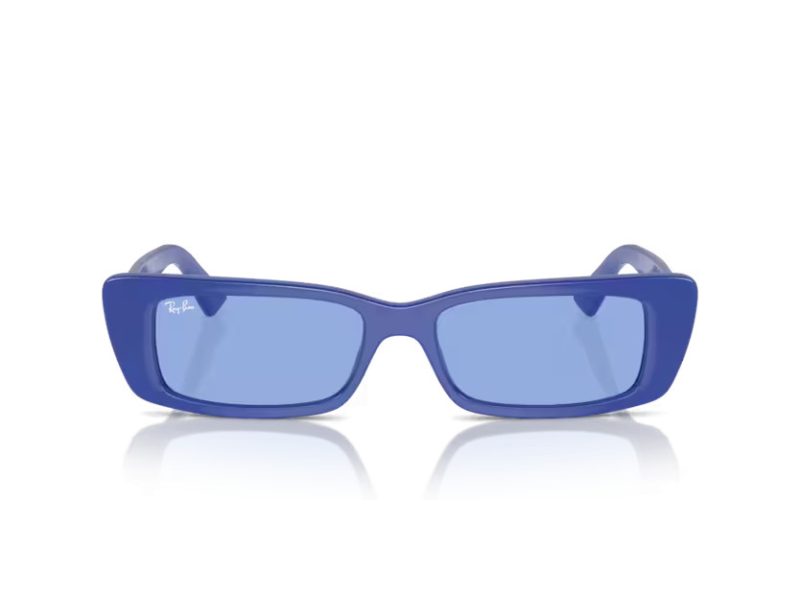 Ray-Ban Teru Lunettes de Soleil RB 4425 676180