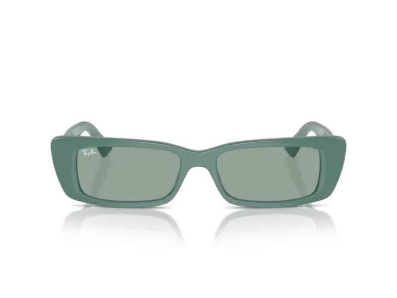 Ray-Ban Teru Lunettes de Soleil RB 4425 676282