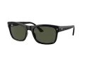 Ray-Ban Lunettes de Soleil RB 0RB4428 601/31