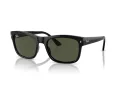 Ray-Ban Lunettes de Soleil RB 0RB4428 601/31