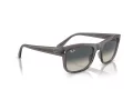 Ray-Ban Lunettes de Soleil RB 0RB4428 667571
