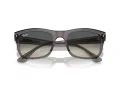 Ray-Ban Lunettes de Soleil RB 0RB4428 667571