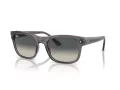 Ray-Ban Lunettes de Soleil RB 0RB4428 667571