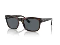 Ray-Ban Lunettes de Soleil RB 0RB4428 710/R5
