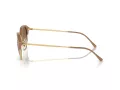 Ray-Ban Lunettes de Soleil RB 0RB4429 672151