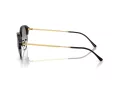 Ray-Ban Lunettes de Soleil RB 0RB4429 672332