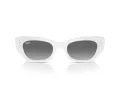 Ray-Ban Zena Lunettes de Soleil RB 4430 675911