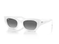 Ray-Ban Zena Lunettes de Soleil RB 4430 675911