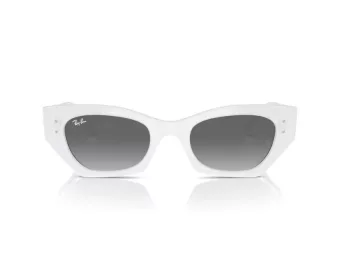 Ray-Ban Zena Lunettes de Soleil RB 4430 675911