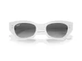 Ray-Ban Zena Lunettes de Soleil RB 4430 675911