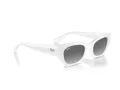Ray-Ban Zena Lunettes de Soleil RB 4430 675911