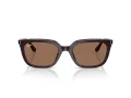 Ray-Ban Lunettes de Soleil RB 4439D 623173