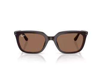 Ray-Ban Lunettes de Soleil RB 4439D 623173