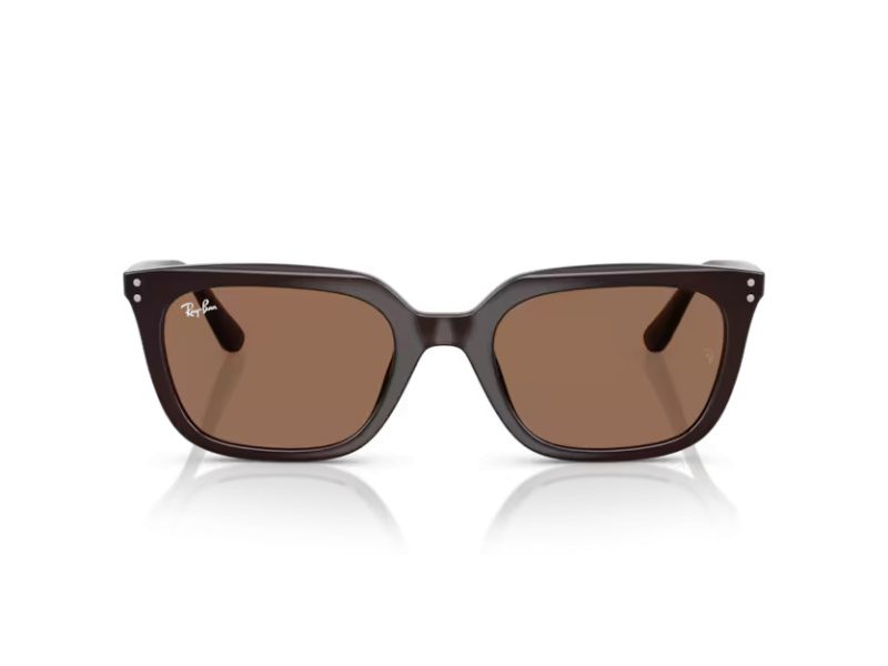 Ray-Ban Lunettes de Soleil RB 4439D 623173