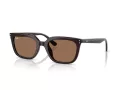 Ray-Ban Lunettes de Soleil RB 4439D 623173