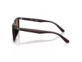 Ray-Ban Lunettes de Soleil RB 4439D 623173