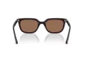 Ray-Ban Lunettes de Soleil RB 4439D 623173