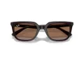 Ray-Ban Lunettes de Soleil RB 4439D 623173