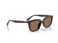 Ray-Ban Lunettes de Soleil RB 4439D 623173