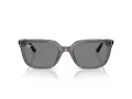 Ray-Ban Lunettes de Soleil RB 4439D 667587
