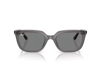 Ray-Ban Lunettes de Soleil RB 4439D 667587