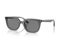 Ray-Ban Lunettes de Soleil RB 4439D 667587