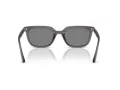 Ray-Ban Lunettes de Soleil RB 4439D 667587