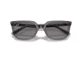 Ray-Ban Lunettes de Soleil RB 4439D 667587
