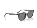 Ray-Ban Lunettes de Soleil RB 4439D 667587