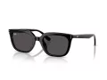 Ray-Ban Lunettes de Soleil RB 4439D 901/87